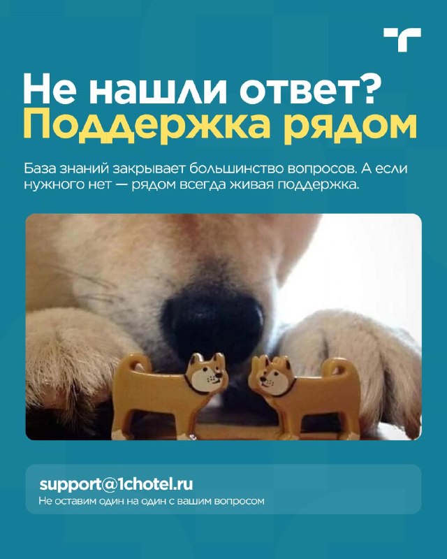 База Знаний — карточка 5